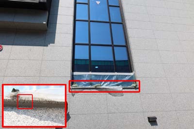 사례집에 실린 조사 자료